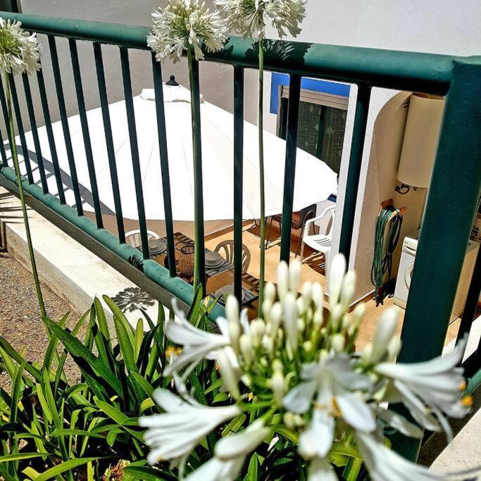 Apartment Encantador A 100m Da Carvoeiro (Lagoa)