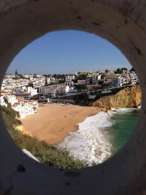 Encantador A 100m Da Apartment