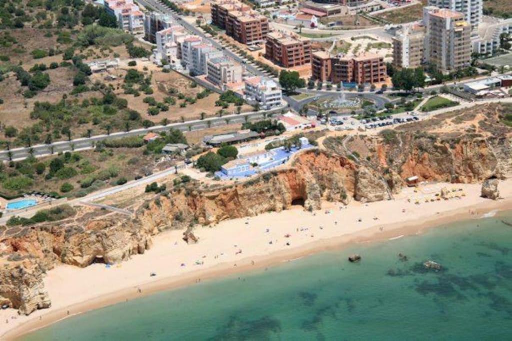Encantador A 100m Da Apartment *